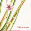 Frauen Ferragamo Schals | Seidenschal Mit Blumenmuster Salvatore Ferragamo