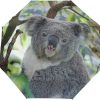 Frauen Montoj Regenschirme | Niedlicher Koala-Regenschirm, Dreifach Gefaltet, Uv-Schutz, Mit Automatischem Offnen-Knopf